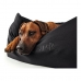 Dog Sofa Hunter Gent Svart 80x60 cm