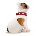 Collar para Perro Hunter Swiss Rojo/Negro 35-43 cm