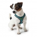 Dog Harness Hunter Hilo Comfort 55-60 cm Size M Turquoise