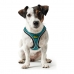 Dog Harness Hunter Hilo Comfort 55-60 cm Size M Turquoise