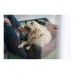 Divano per cani Hunter Boston Marrone (60 x 50 cm)