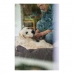 Divano per cani Hunter Boston Marrone (60 x 50 cm)