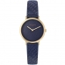 Reloj Mujer Pierre Cardin CBV-1505