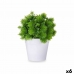 Plantă decorativă Plastic 17 x 19,5 x 17 cm (6 Unități)