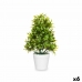 Dekorativ Plante Plast 18 x 35 x 16 cm (6 enheter)