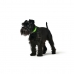 Collier pour Chien Hunter Convenience 47-55 cm L Vert