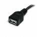 Cable USB Startech USBEXTAA10BK Negro