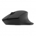 clavier et souris Natec NKL-1998 Qwerty US Noir