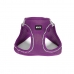 Imbracatura per Cani Gloria 41,4-43 cm Viola S 29,4-32,6 cm