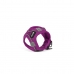 Harnais pour Chien Gloria 41,4-43 cm Violet S 29,4-32,6 cm