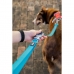 Laisse pour Chien Red Dingo Bleu