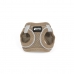 Dog Harness Gloria 31-34,6 cm Beige S 27-28 cm