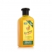 Shampoo Nutriente Xpel Banana (400 ml)