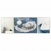 Set of 3 pictures DKD Home Decor 240 x 3 x 80 cm 30 x 40 cm Moderni