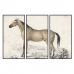 Quadro DKD Home Decor Cavallo (180 x 4 x 120 cm)
