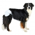 Bleier Trixie 23634 Hund M/L