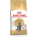 Γατοτροφή Royal Canin British Shorthair Ενηλίκων Κοτόπουλο Πουλιά 2 Kg