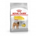 Fodder Royal Canin Adult Meat Birds 12 kg