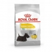 Foder Royal Canin Mini Dermacomfort Voksen Kylling Oksekød Vegetabilsk 3 Kg