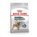 Krma Royal Canin Odrasli Ptice 3 Kg