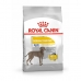 Fodder Royal Canin Adult Meat Birds 12 kg