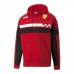 Vyriškas džemperis su gobtuvu Puma Race SDS Raudona