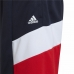 Sport rövidnadrág gyerekeknek Adidas  D2M Big Logo kék