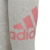 Naisten urheilulegginsit Adidas Essentials Tumman harmaa