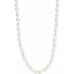 Ladies' Necklace Ti Sento 3994PW/42