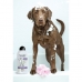 Dierenshampoo Wahl 3999-7010 750 ml Wit