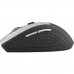 Mouse Optic Esperanza EM123S Negru/Gri