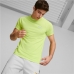 Herren Kurzarm-T-Shirt Puma Evostripe grün