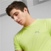 Herren Kurzarm-T-Shirt Puma Evostripe grün