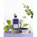 Κρέμα για Χτενίσματα Phyto Paris Violet 250 ml