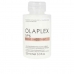 Restorative Cream Olaplex Nº6 (100 ml)