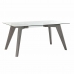 Dining Table DKD Home Decor Crystal Grey Transparent MDF Wood (160 x 90 x 75 cm)