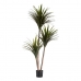 Decoratieve plant Smal mes Plastic IJzerdraad 80 x 200 x 105 cm