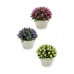 Decoratieve plant Blommor Plastic 14 x 12,5 x 14 cm (12 Stuks)