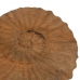 Szobor Bézs szín Mangófa 49,5 x 9 x 53,5 cm Kagyló( héj)