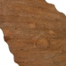 Szobor Bézs szín Mangófa 49,5 x 9 x 53,5 cm Kagyló( héj)