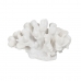 Figura Decorativa Blanco Coral 19 x 14 x 11 cm