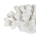 Figura Decorativa Branco Coral 19 x 14 x 11 cm