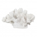 Decorative Figure White Coral 19 x 14 x 11 cm