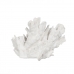 Figura Decorativa Branco Coral 29 x 20 x 21 cm