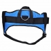 Dog Harness Hearts & Homies Blue Size L