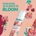 Σαμπουάν για Στεγνά Μαλλιά Batiste Rose Gold 350 ml