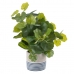 Decoratieve plant Cement PEVA Lakens 11,5 x 11,5 x 39 cm