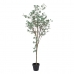 Dekorativ Plante Polyetylen Eucalyptus 80 x 82 x 180 cm