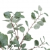 Dekorativ Plante Polyetylen Eucalyptus 80 x 82 x 180 cm