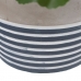 Decoratieve plant Cement PEVA Lakens 11,5 x 11,5 x 39 cm